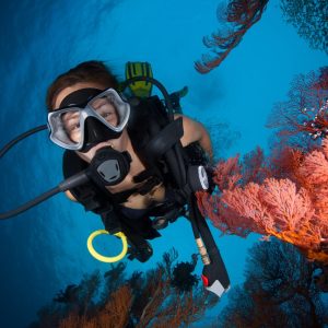 Phuket Dive Provider 19 PADI Discover Scuba Diving in Racha Yai/Noi: 3 Dives for Non-Certified Divers