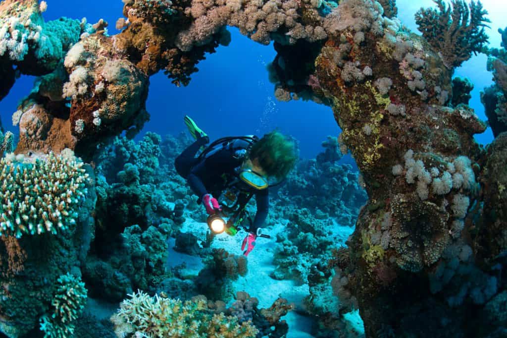 Discover Scuba Diving in Racha Yai: 2 Dives for Non-Certified Divers 2 Photo 6294152840486173508 Y