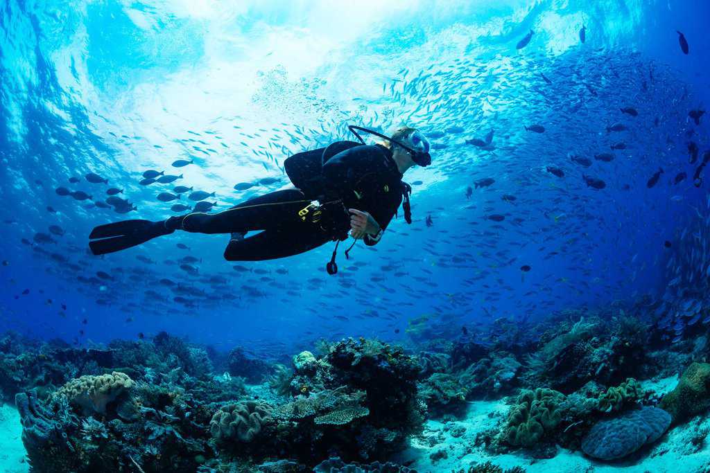 Discover Scuba Diving in Racha Yai: 2 Dives for Non-Certified Divers 5 Shutterstock 654264571 Scaled