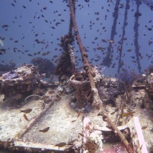 King Cruiser wreck: 3 Fun Dives for Certified Divers + Koh Dok Mai